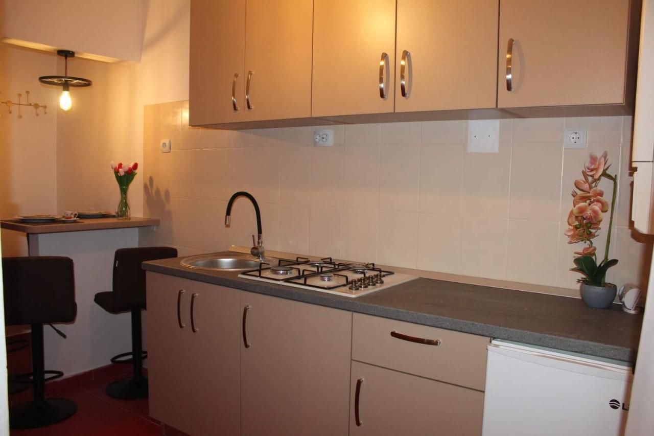 Apartament Dania & Petru Apartment Tirgu Ocna Luaran gambar