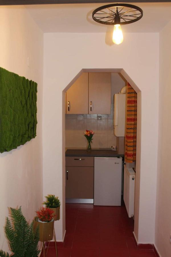 Apartament Dania & Petru Apartment Tirgu Ocna Luaran gambar