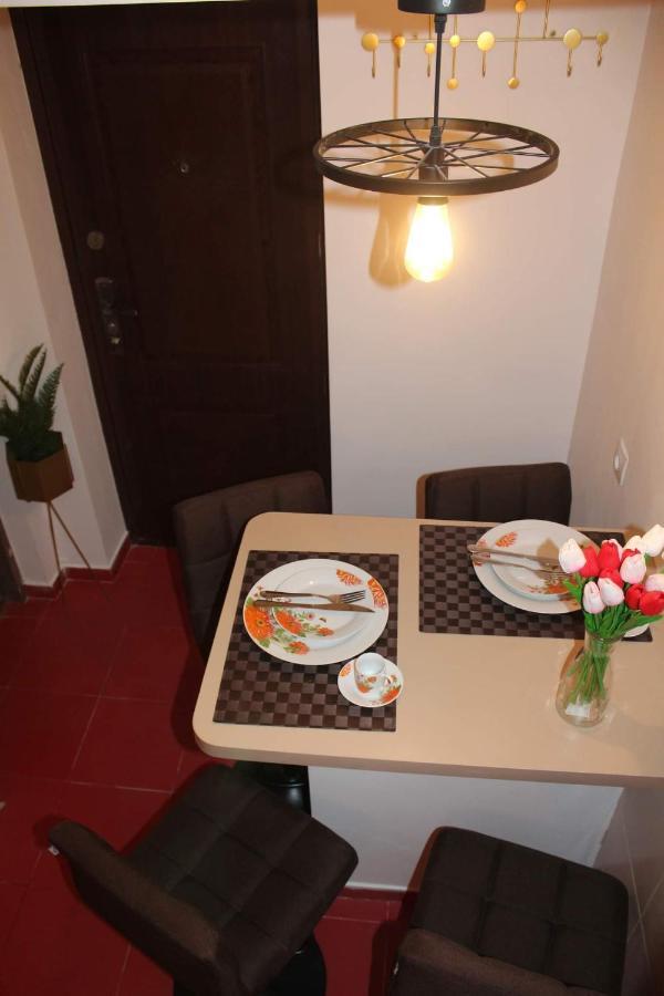 Apartament Dania & Petru Apartment Tirgu Ocna Luaran gambar