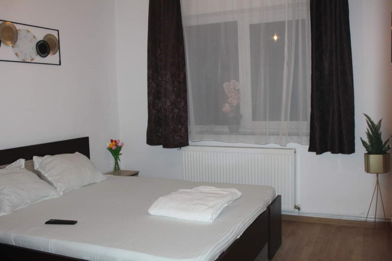 Apartament Dania & Petru Apartment Tirgu Ocna Luaran gambar