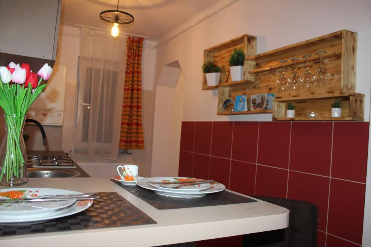 Apartament Dania & Petru Apartment Tirgu Ocna Luaran gambar