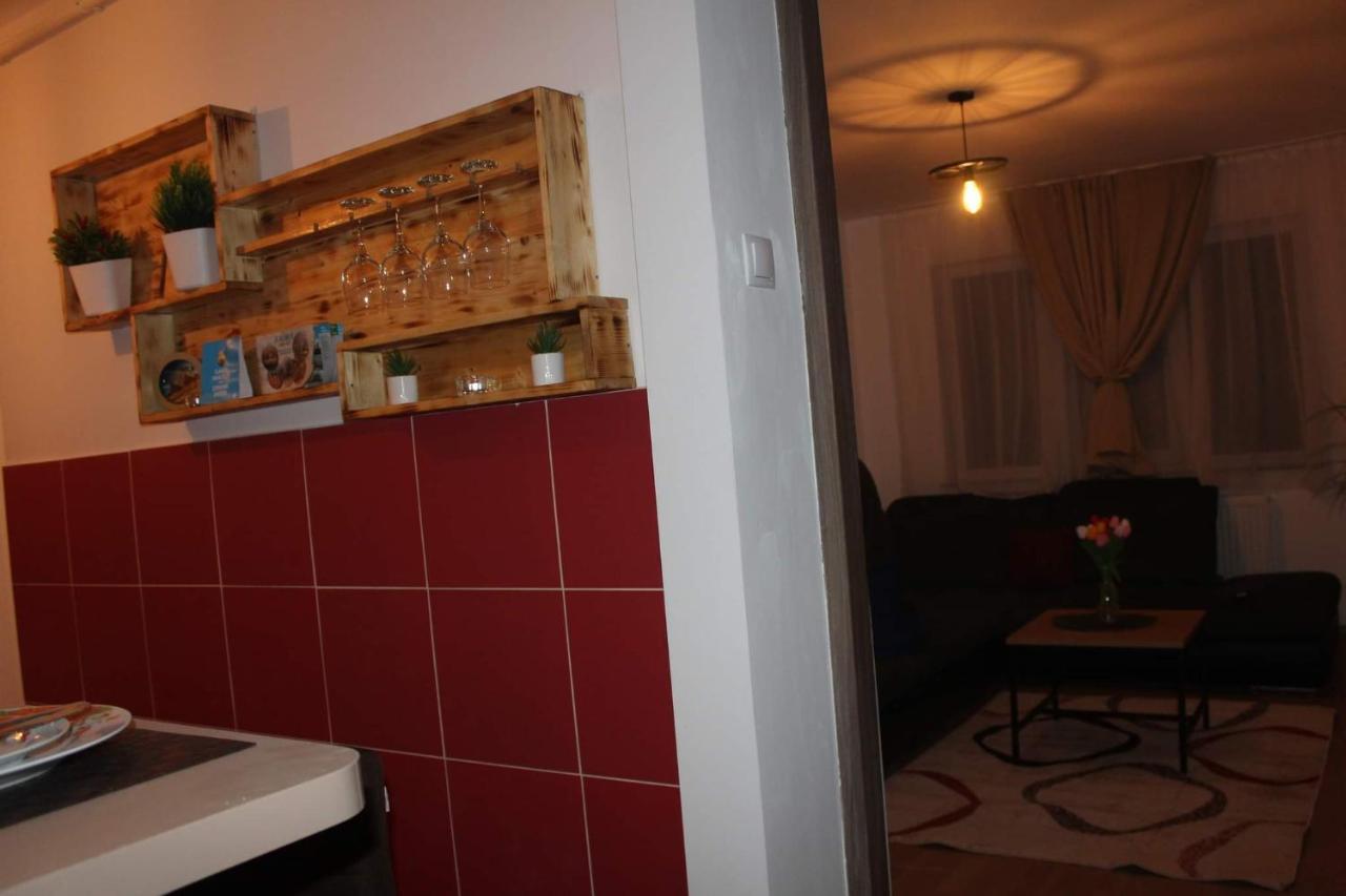 Apartament Dania & Petru Apartment Tirgu Ocna Luaran gambar